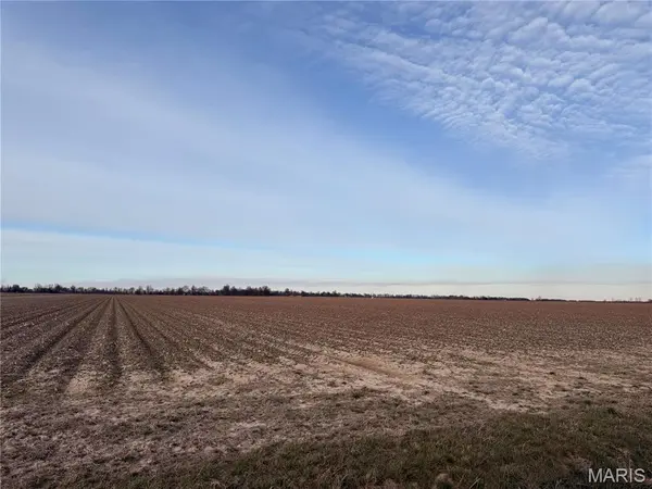 0 County Road 314, Portageville, MO 63873