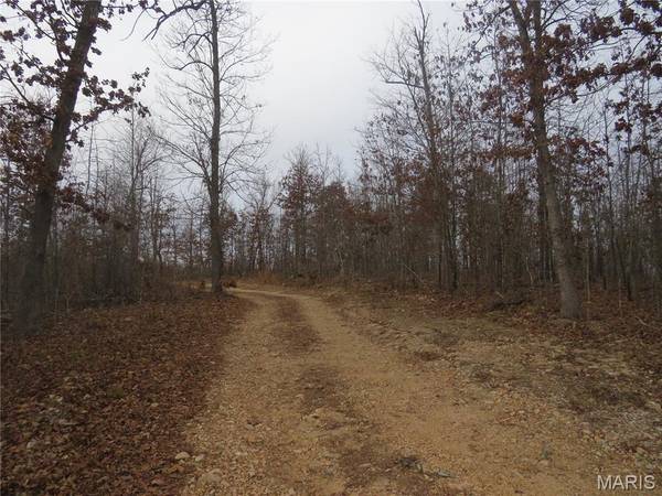 0 County Road 422, Ellington, MO 63638