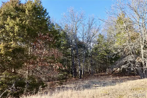 000 Cotrel LN, Falcon, MO 65470
