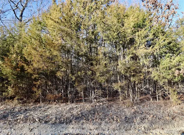 000 Cotrel LN, Falcon, MO 65470