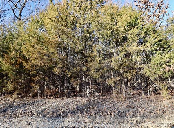 000 Cotrel LN, Falcon, MO 65470