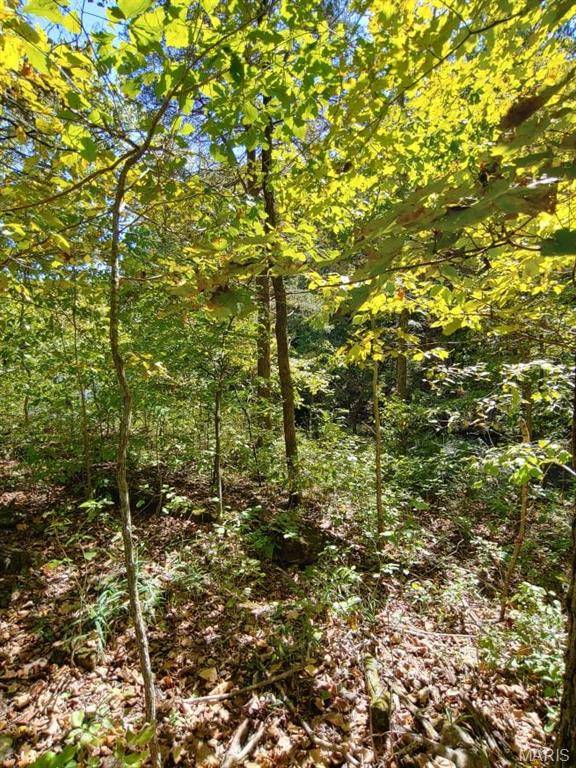 1848 Prince John CT, Marthasville, MO 63357