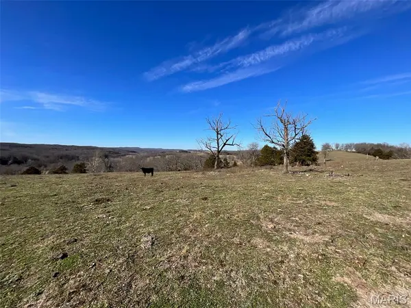 594 County Road 873, Thornfield, MO 65762