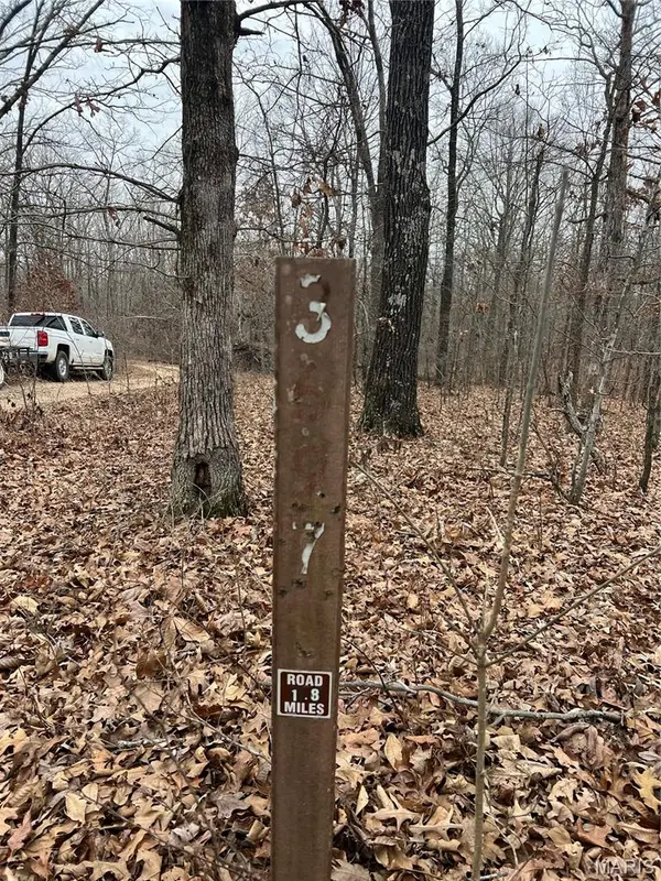 Highway T Forest Road 3697, Poplar Bluff, MO 63901