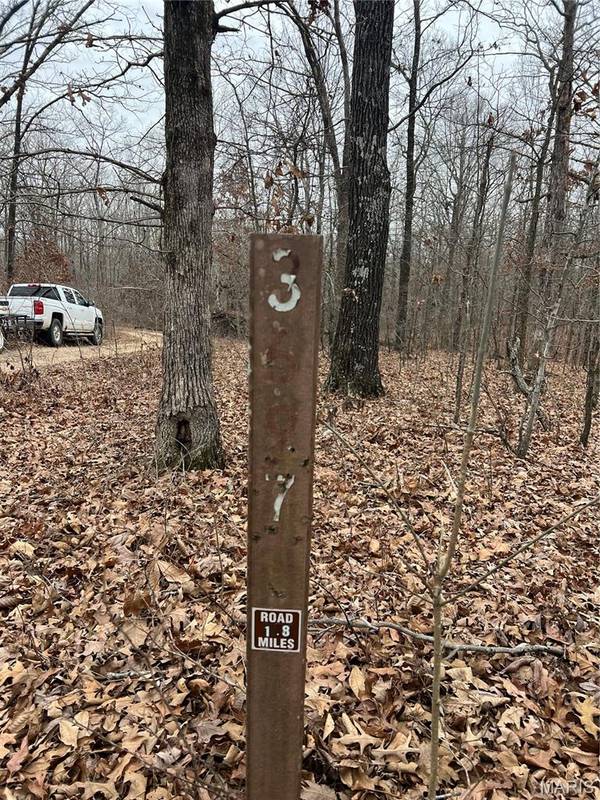 Highway T Forest Road 3697, Poplar Bluff, MO 63901
