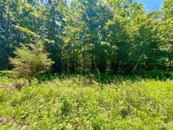 14.57 Acres Red Oak RD, High Hill, MO 63351