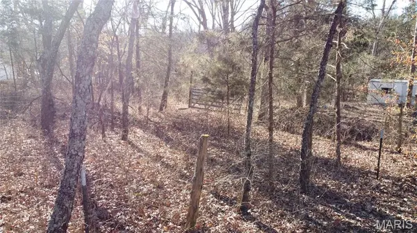 10827 Scout Camp RD, Bismarck, MO 63624