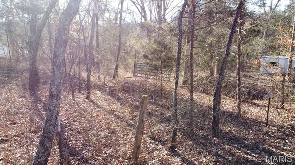 10827 Scout Camp RD, Bismarck, MO 63624