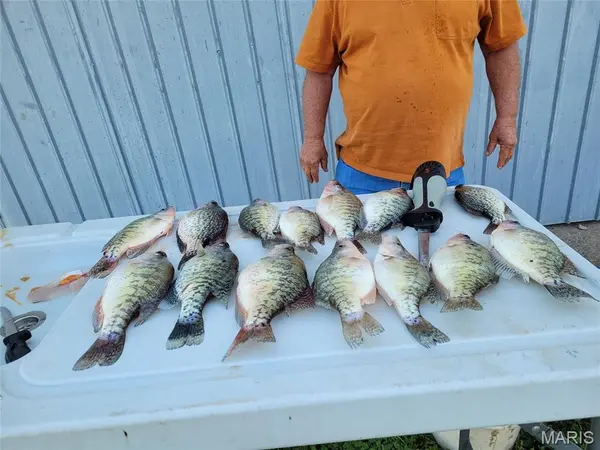 0 Monroe Road 581, Perry, MO 63462