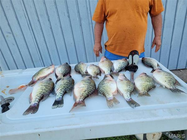 0 Monroe Road 581, Perry, MO 63462