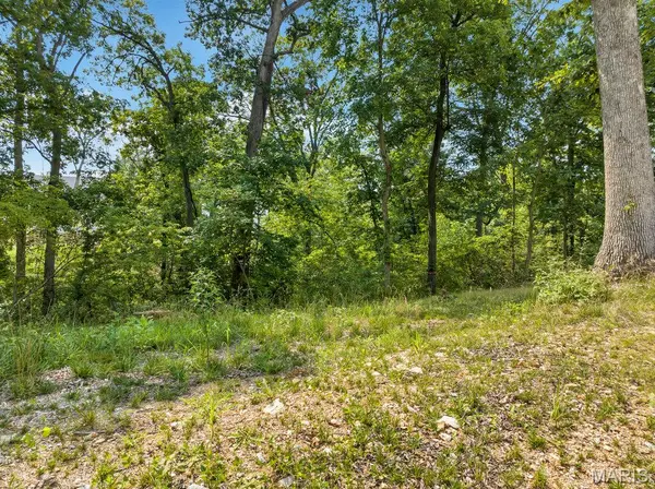 204 Ella Rose LN, St Charles, MO 63304
