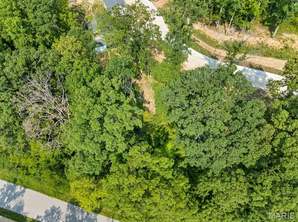 204 Ella Rose LN, St Charles, MO 63304