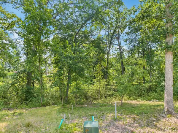 204 Ella Rose LN, St Charles, MO 63304