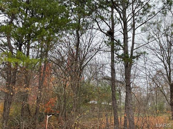 410 Orchard St., Williamsville, MO 63967