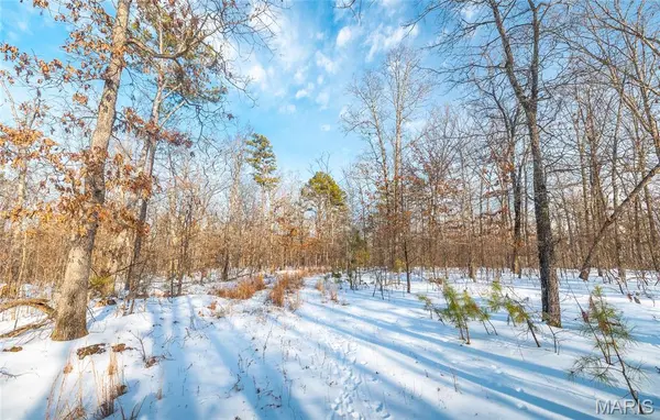0 County Road BB-2, Doniphan, MO 63935