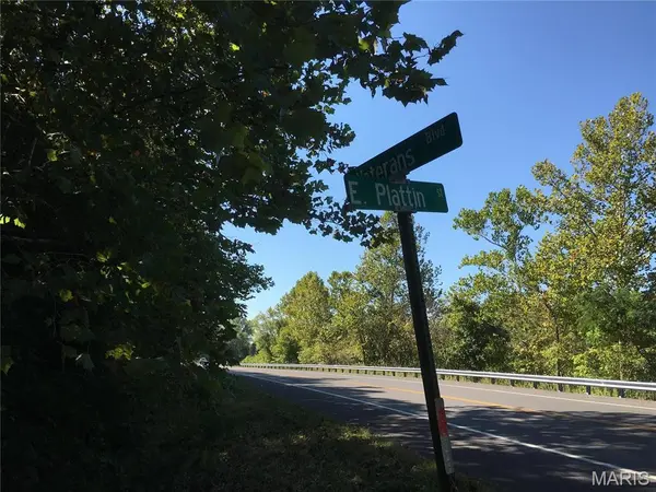 52 VETERANS ( HIGHWAY E ) DR, De Soto, MO 63020