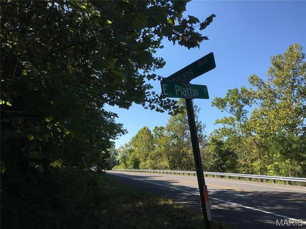 52 VETERANS ( HIGHWAY E ) DR, De Soto, MO 63020