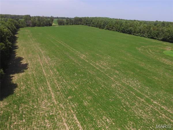 000 E. Rileyville Rd., Dix, IL 62830