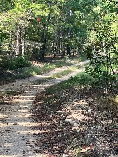 194 Madison CR 410, Fredericktown, MO 63645