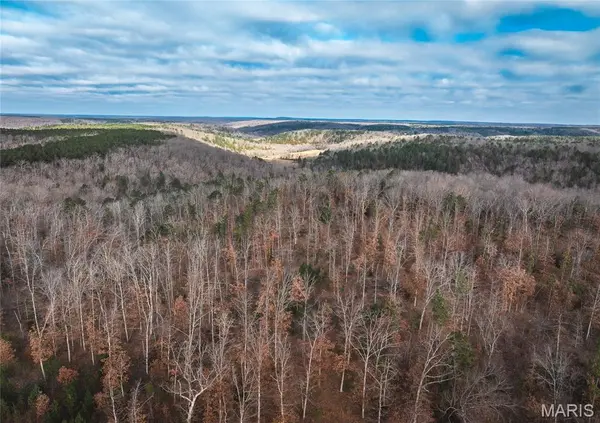 3627 County Road 2120, Rolla, MO 65401
