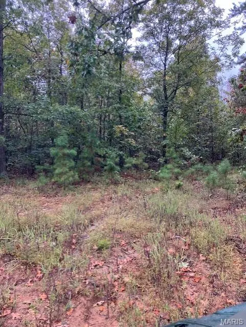 195 Madison CR 410, Fredericktown, MO 63645