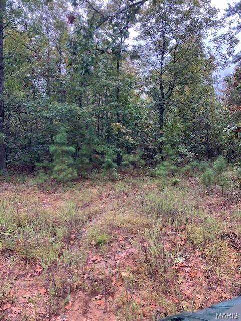 195 Madison CR 410, Fredericktown, MO 63645
