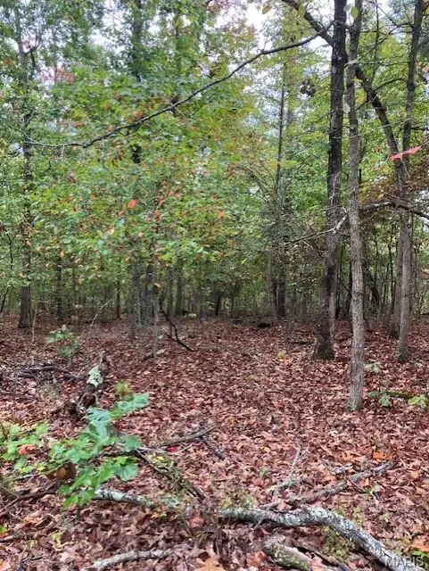 195 Madison CR 410, Fredericktown, MO 63645