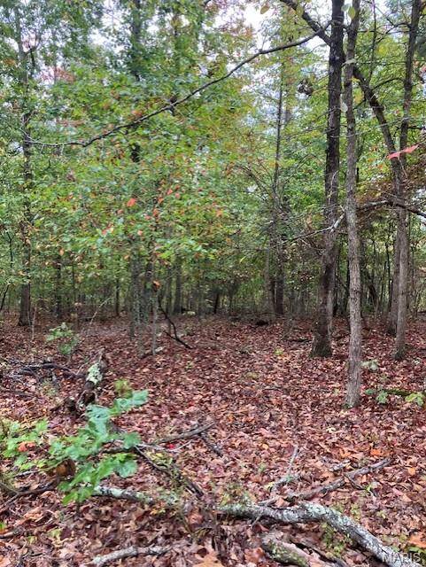 195 Madison CR 410, Fredericktown, MO 63645