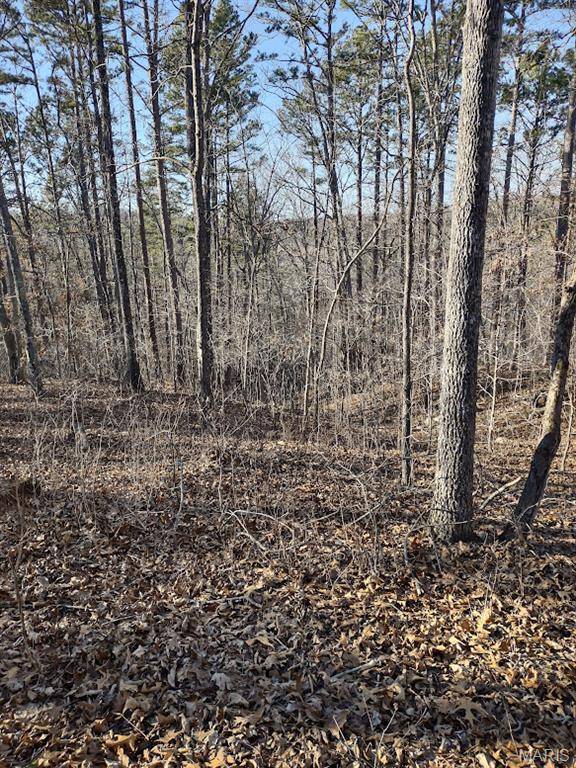 000 Moonshine Pass, Salem, MO 65560