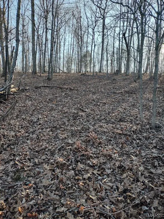 000 Moonshine Pass, Salem, MO 65560