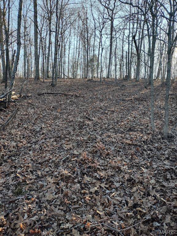 000 Moonshine Pass, Salem, MO 65560