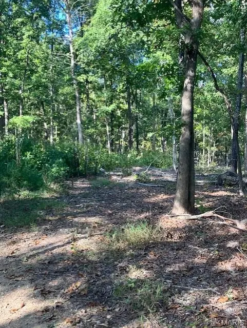198 Madison CR 410, Fredericktown, MO 63645
