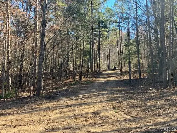 198 Madison CR 410, Fredericktown, MO 63645