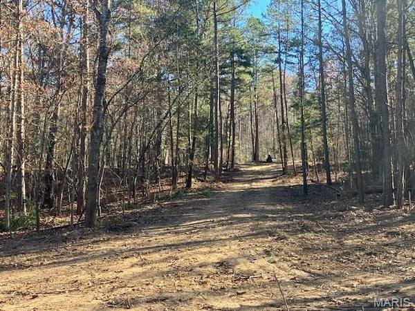 198 Madison CR 410, Fredericktown, MO 63645