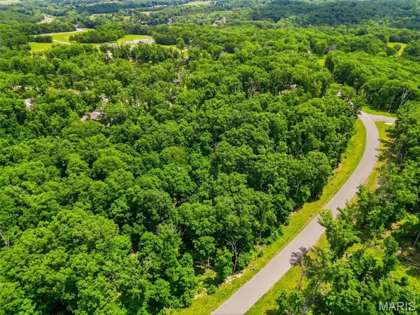 2832 Morgan Lake DR, Innsbrook, MO 63390