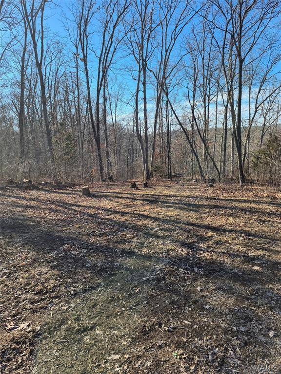 0 Catawba DR, De Soto, MO 63020