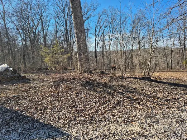 0 Catawba DR, De Soto, MO 63020