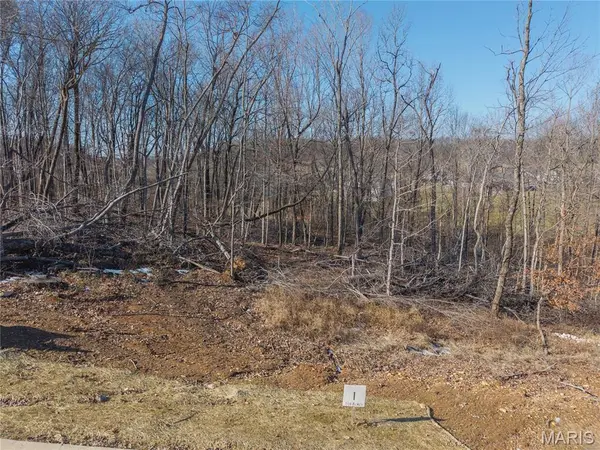 Lot 1 Heritage Farm LN, Jackson, MO 63755