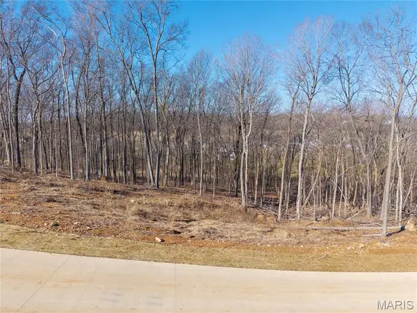 Lot 2 Heritage Farm LN, Jackson, MO 63755