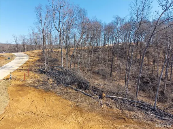 Lot 6 Heritage Farm LN, Jackson, MO 63755
