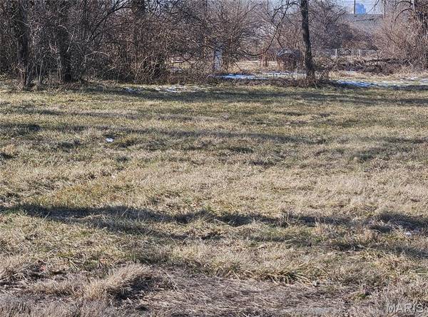 1415 S J ST, East St Louis, IL 62207