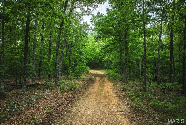 0 County Road 6280 Tract 1, Jadwin, MO 65502