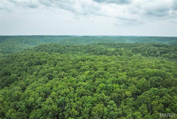0 County Road 6280 Tract 3, Jadwin, MO 65502