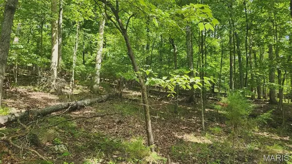 574 Marina DR, Marthasville, MO 63357