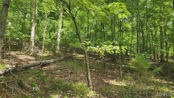 574 Marina DR, Marthasville, MO 63357