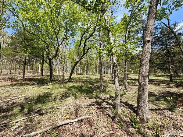 14 Legacy DR, Potosi, MO 63664