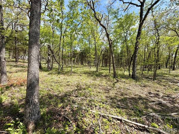 14 Legacy DR, Potosi, MO 63664