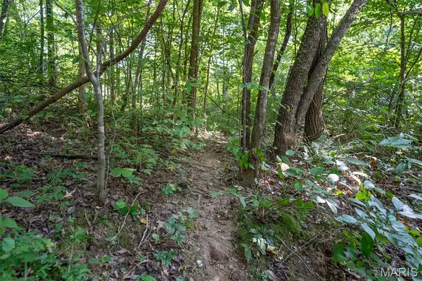 0 County Road 530 Tract 3, Williamsville, MO 63967