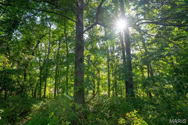 0 County Road 530 Tract 3, Williamsville, MO 63967