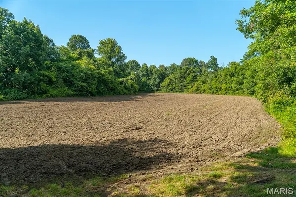 0 County Road 532 Tract 2, Williamsville, MO 63967